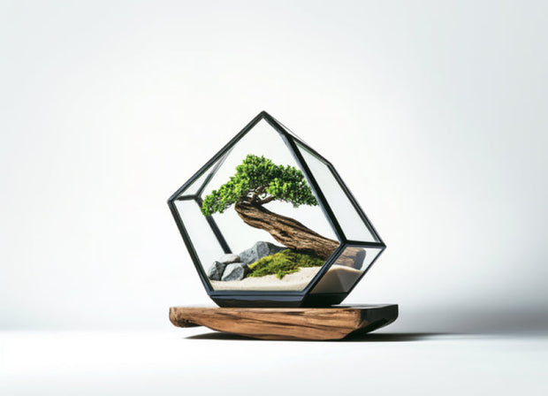 <strong>Terrariums for plants</strong>
